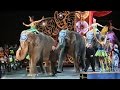 Ringling Elephants Say Goodbye To The Circus