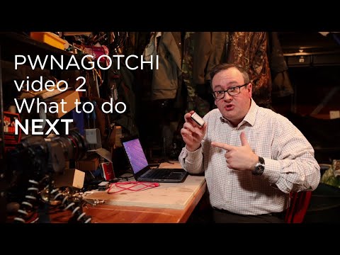 Pwnagotchi video 2 - what to do next