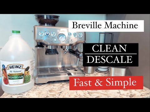 How to descale Breville espresso machine fast - best way to descale Breville espresso machine