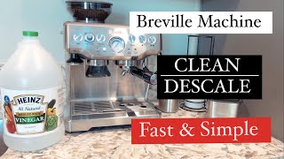 How to descale Breville espresso machine fast - best way to descale Breville espresso machine