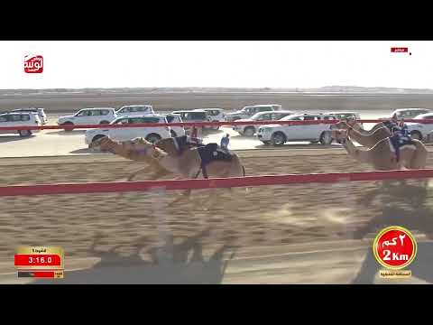 ش 5 (النشمي) لـ محمد راشد سالم الكعبي 5:51:79 ، مهرجان ختامي الوثبة 2026/02/26 حقايق