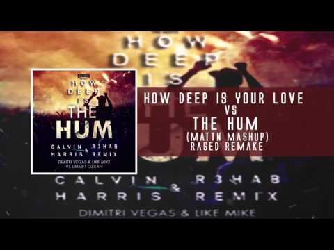 Dimitri Vegas & Like Mike vs Calvin Harris & Disciples - How Deep is The Hum (MATTN  Mashup)