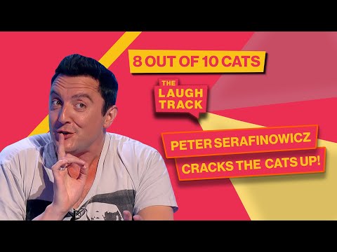 Every Time Peter Serafinowicz Broke The Cats | 8 Out Of 10 Cats | The Laugh Track