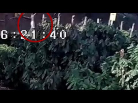 Flagrante de crime em Governador Lindenberg, no ES