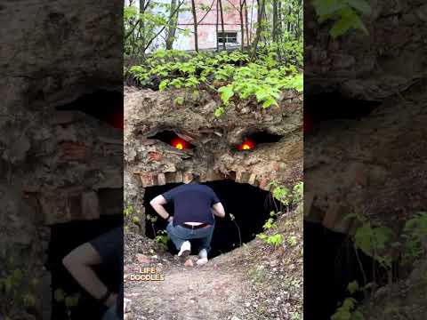 Top Animator Reveals The BEST Way To Create Life Doodles