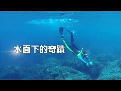 台灣中油永安液化天然氣廠珊瑚生態影片(2分鐘中文版)