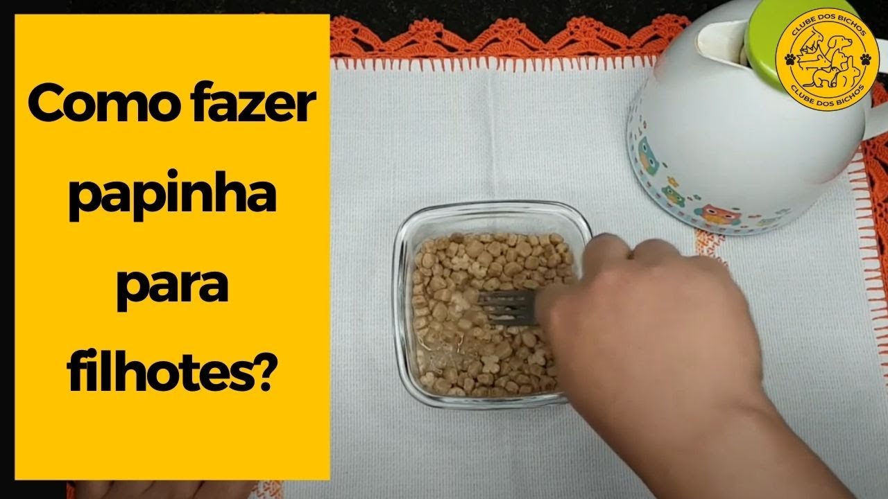 COMO FAZER PAPINHA de ração para filhotes com 20 dias, 30 dias e 45 dias comer?