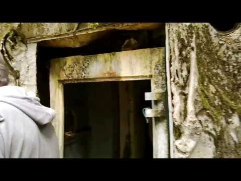 COMPAGNIA ALPINI 269^ & 308^ - RADUNO DI PONTEBBA 8 SETTEMBRE 2013 - ENTRATA OPERA 4 PONTEBBA