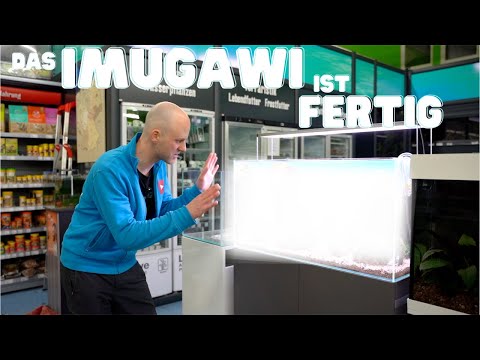Unser erstes Imugawi Aquarium ist fertig | Ist es so geworden wie erhofft?