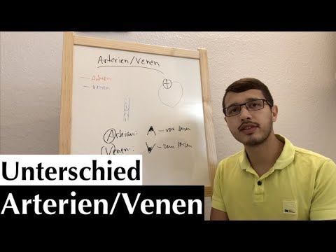 Bluthochdruck und erhöhte Herzfrequenz Hypertension der Still Tabletten