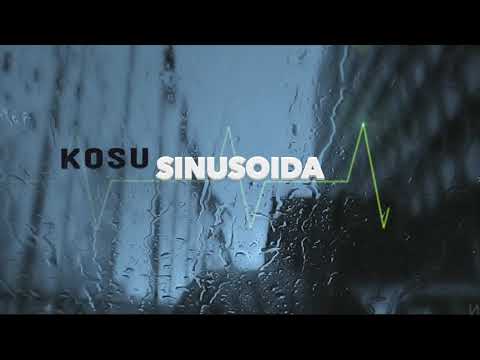 6.KOSU X CICHY - NIE MA CO ZAPĘDZAĆ SIĘ (SINUSOIDA)