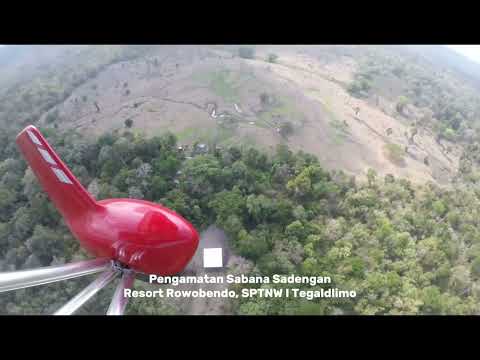 Patroli Kawasan Resor Kucur TN Alas Purwo dengan Pesawat Microlight Trike