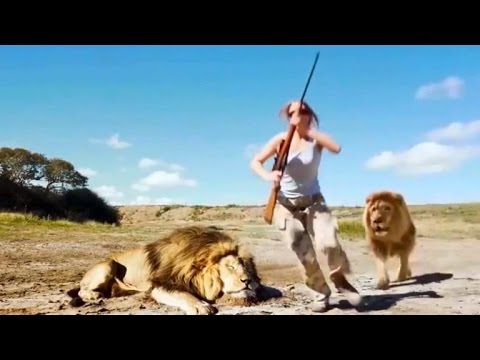 Could This Video of Trophy Hunters Getting Attacked By a Lion Be Real?