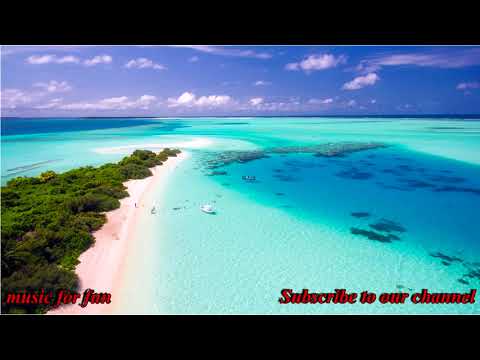 Cafe Mornings   Andreas Jamsheree