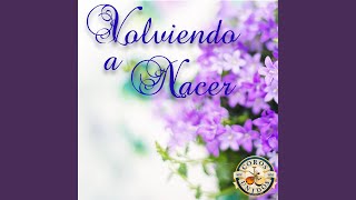 Tu Luz Me Guiará