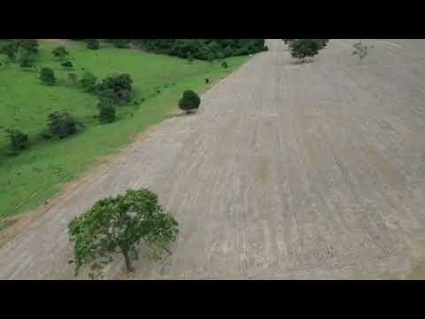 Sítio ( 21,1 hectares) em Americano do Brasil - GO