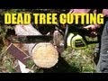 Cutting Dead Trees with the Folks 