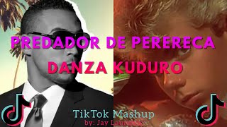 Download lagu Predador de Perereca X Danza Kuduro Mashup - CLEAN VERSION -inspired by TikTok mp3