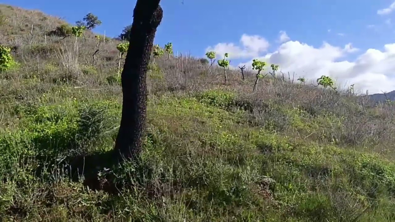 Finca en Venta en Casabermeja