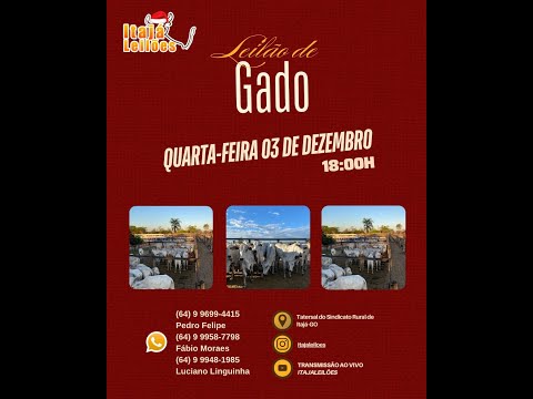 LEILÃO DA ITAJÁ LEILÕES