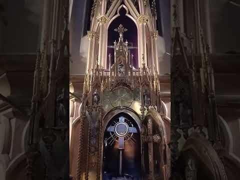 Adoración al Santísimo Sacramento del Altar con el Padre Fabian Esteban Oliva. 30/05/26