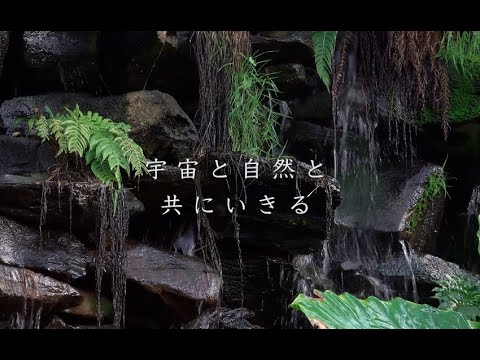 メディア映像学科 宇宙と自然と共に120秒