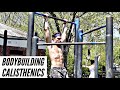 Calisthenics for AESTHETICS | Full BACK WORKOUT | MUSCLE UP HACK. to build more power