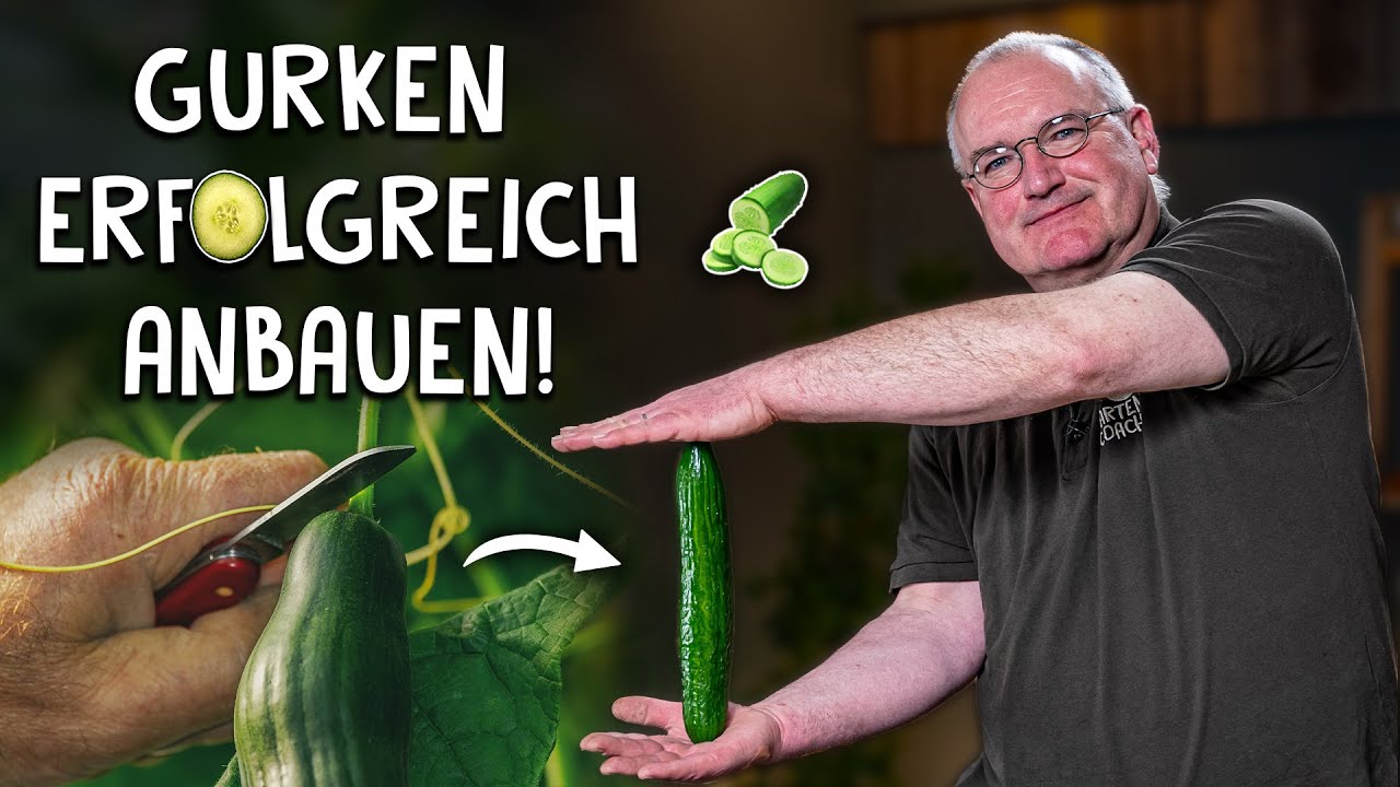 Gemüse anbauen Video 4