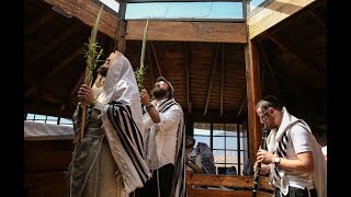 תפילת שחרית בנוסח קרליבך, חו''ה סוכות תשע''ט