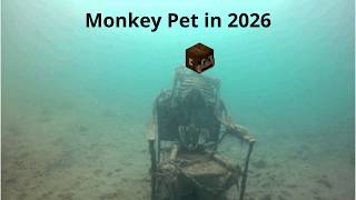 Hypixel Skyblock: Monkey Pet - A victim of powercreep