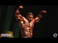 Roelly Winklaar 2019 Arnold Classic Australia (Muscular Development)