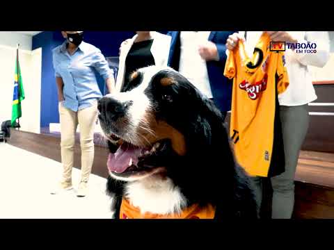 Melhor do mundo três vezes, Vanessa Pereira é apresentada no Taboão Magnus