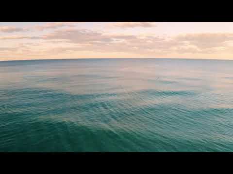 STOP Making These Chocolate Cake Mistakes Food Fusion's Expert Tips