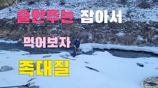 이렇게 쉽게 잡힌다 계곡에서 고급어종이 계속 나온다 최고의 술안주 족대질