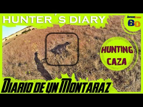 VIDEOS DE CAZA en HD | CAZA de CODORNIZ en MEDIA VEDA #3 | QUAIL HUNTING with POINTING DOG | 2016