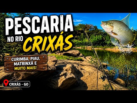 Pescaria de Barranco no Rio Crixás Açu em Uirapuru 