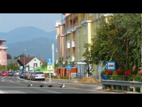 Gradnja DOMA STAREJŠIH v Trzinu v letih 2005 - 2009