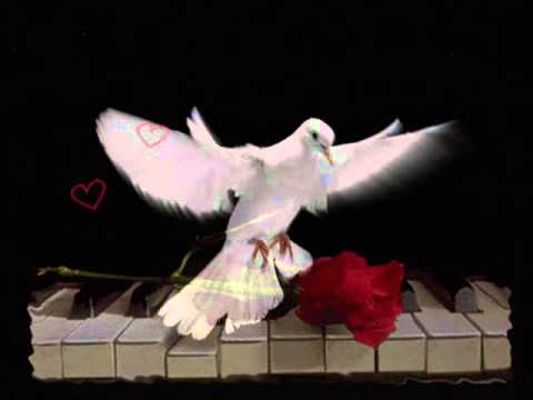 download lagu mp3 mp4 Eglise Sans Frontiere, download lagu Eglise Sans Frontiere gratis, unduh video klip Eglise Sans Frontiere