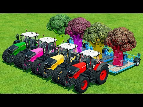 LOAD & TRANSPORT GIANT BROCCOLI WITH  FENDT TRACTORS - Farming Simulator 22