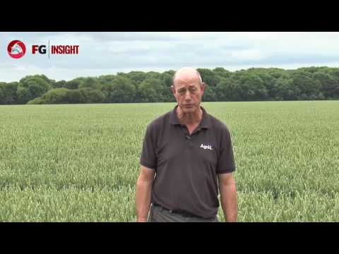 Blackgrass - Lemken Case Study