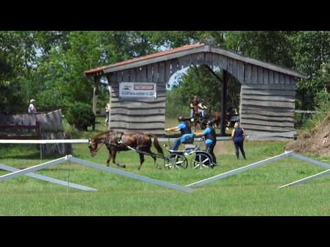 Fahrturnier Neu Versen 23.6.2019