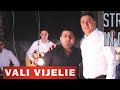 VALI VIJELIE Si LIVIU PUSTIU Strig Cat Pot In Gura Mare AUDIO OFICIAL 2015