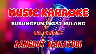 Download lagu BURUNGPUN INGAT PULANG ~ KARAOKE DANGDUT WAKATOBI ~ NIA DANIATY mp3 Download lagu BURUNGPUN INGAT PULANG ~ KARAOKE DANGDUT WAKATOBI ~ NIA DANIATY mp3