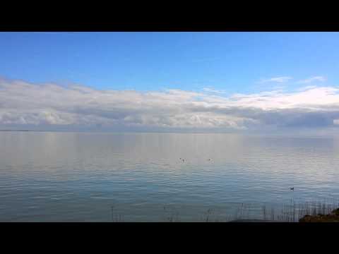 6-Reinado do Amor. Padr Reynaldo - Casa da Luz