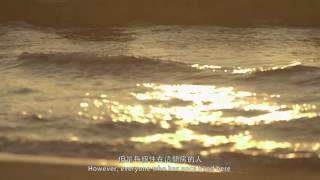 《菲與飛預告 Room 12 Trailer》