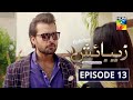 Zebaish Episode 13 | Digitally Powered by PediaSure | HUM TV | Drama | 4 September 2020