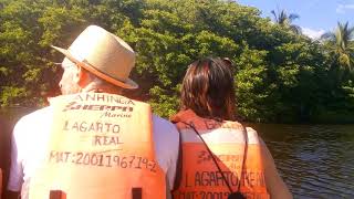 preview picture of video 'Jungla Lagarto real en Ventanilla,Oaxaca'