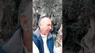 Sabahattin Kudret Aksal... Çizgi...