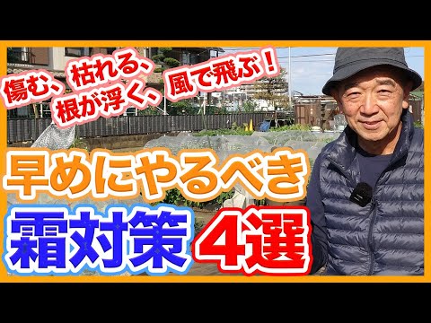 冬のヒントは、キョウチクトウのオープングラウンドガーデンの冬を冷たい雪の霜から守ります