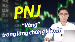 Cập nhật kết quả kinh doanh mới nhất của PNJ – Thành công nhờ lối đi riêng? | Phân tích cổ phiếu